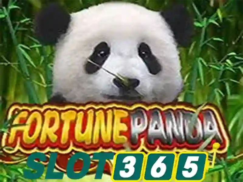 Slot365 là một nhà cung cấp trò chơi trực tuyến uy tín