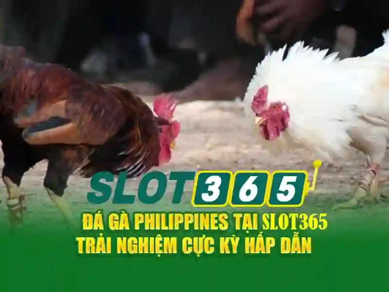 slot365 là gì – Gợi ý mở đầu về thương hiệu