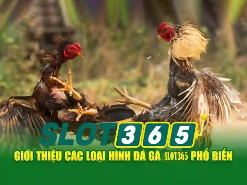 Các sảnh chơi Tai Xiu đa dạng tại slot365 từ Live Casino đến 3D Game
