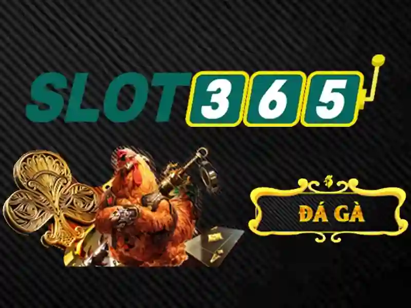 Slot365 - Khám phá nền tảng slot trực tuyến hàng đầu