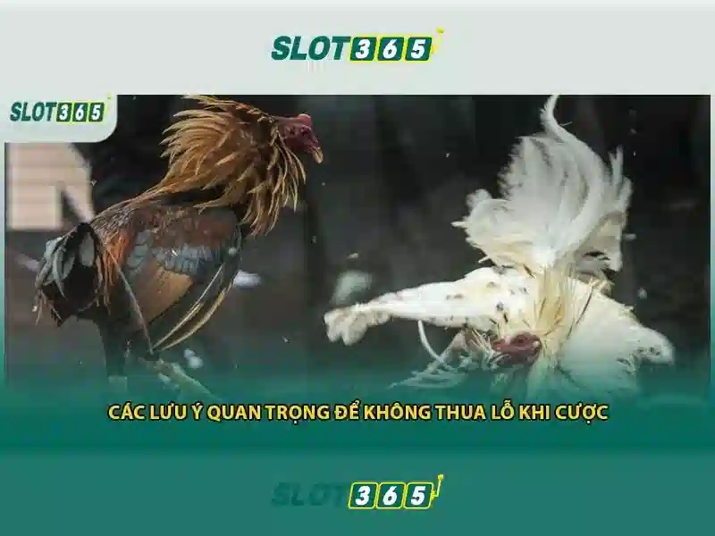 Slot365 la gi?<h>Thu vien tro choi Slot365</h><p><span style=