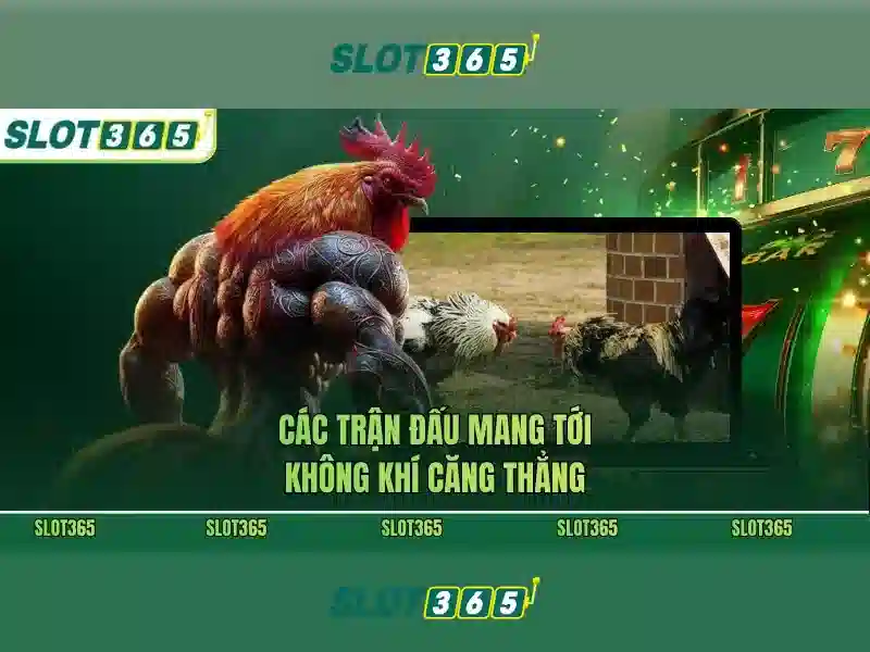 slot365 login link – chủ đề tổng quan và giá trị cốt lõi