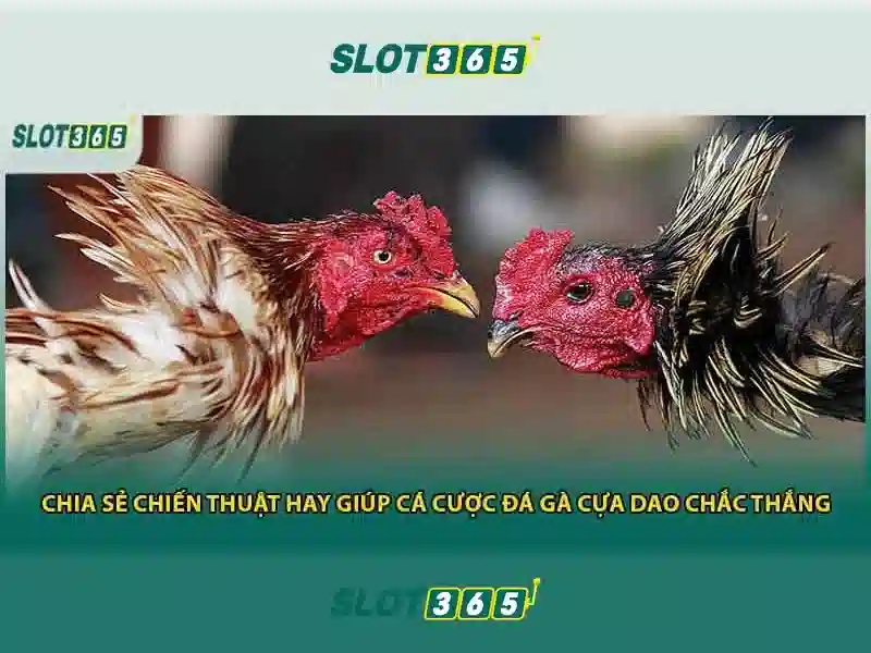 Tiện ích người chơi và bảo mật