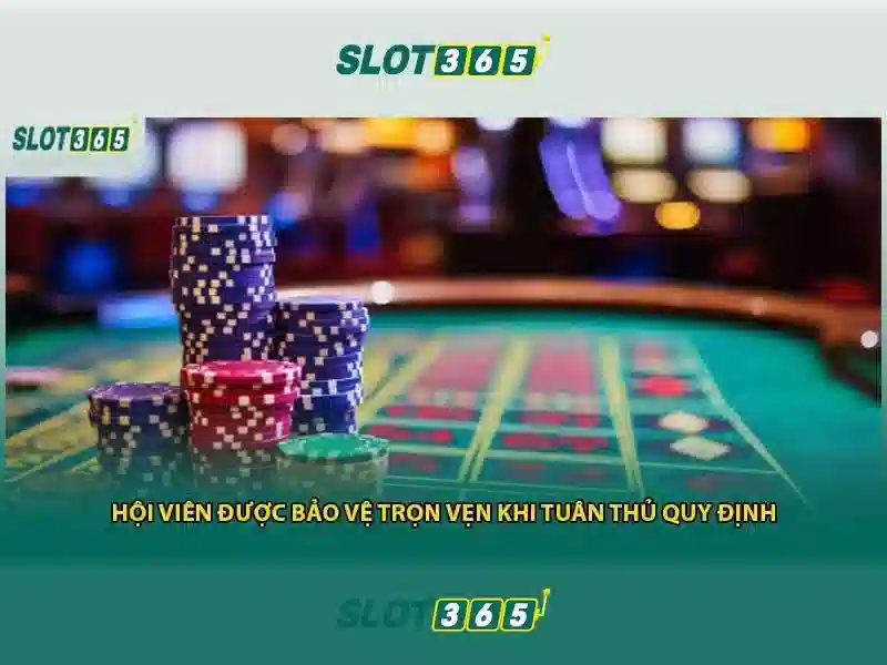 Ứng dụng thực tế slot365