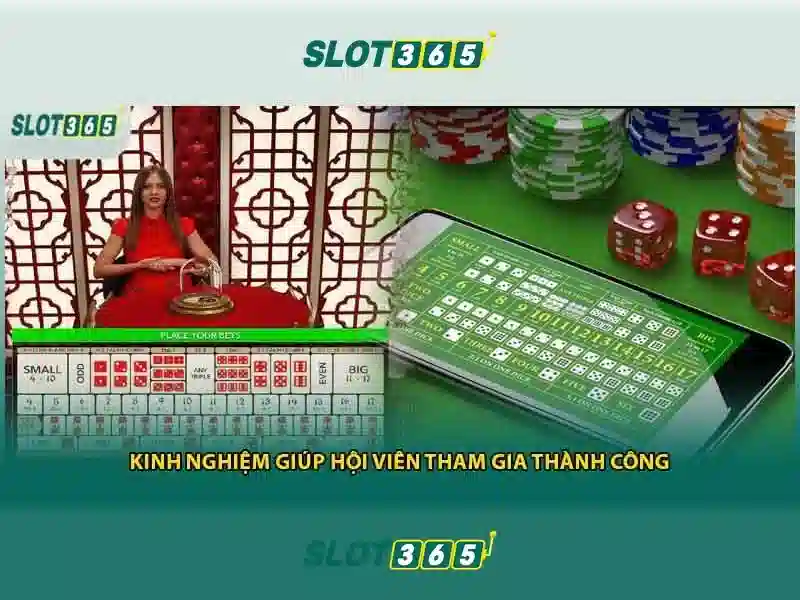 Giao diện và trải nghiệm người dùng
