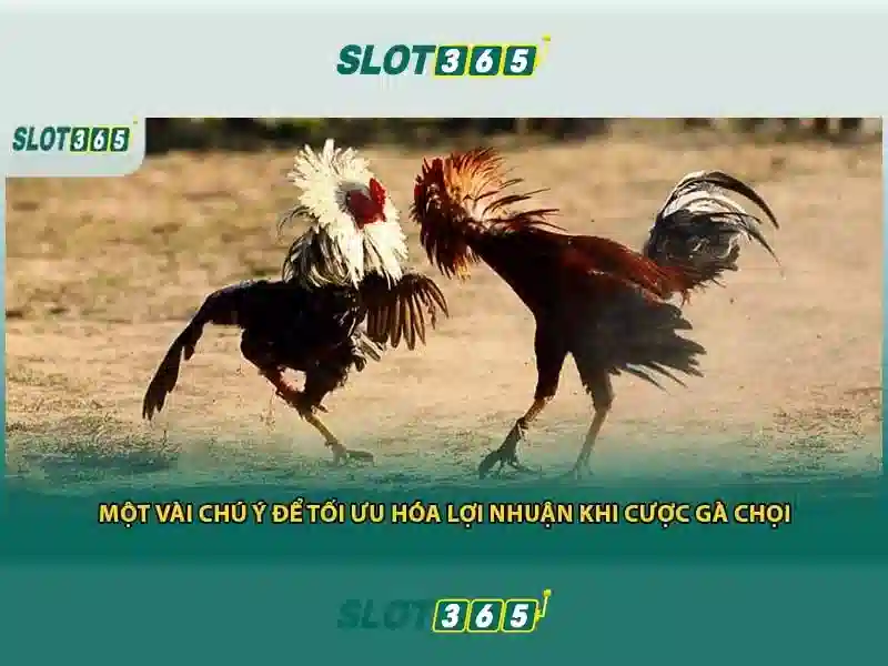 Slot365 là gì và những trải nghiệm chơi slot trực tuyến