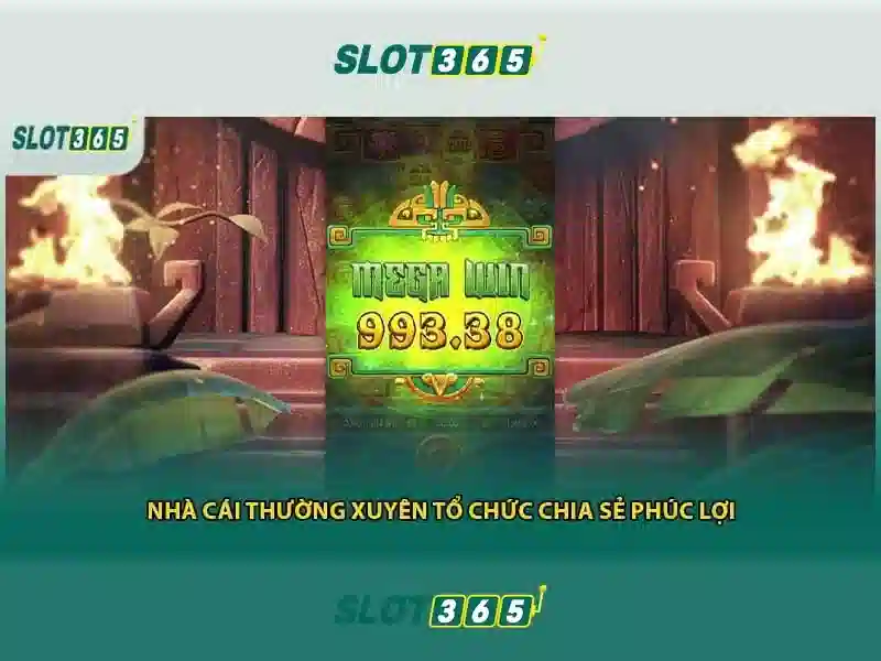 Trải nghiệm trên di động