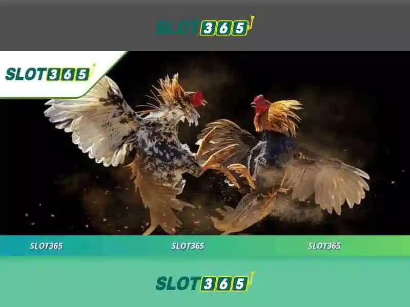Slot365: Nền tảng máy đánh bạc trực tuyến uy tín và an toàn