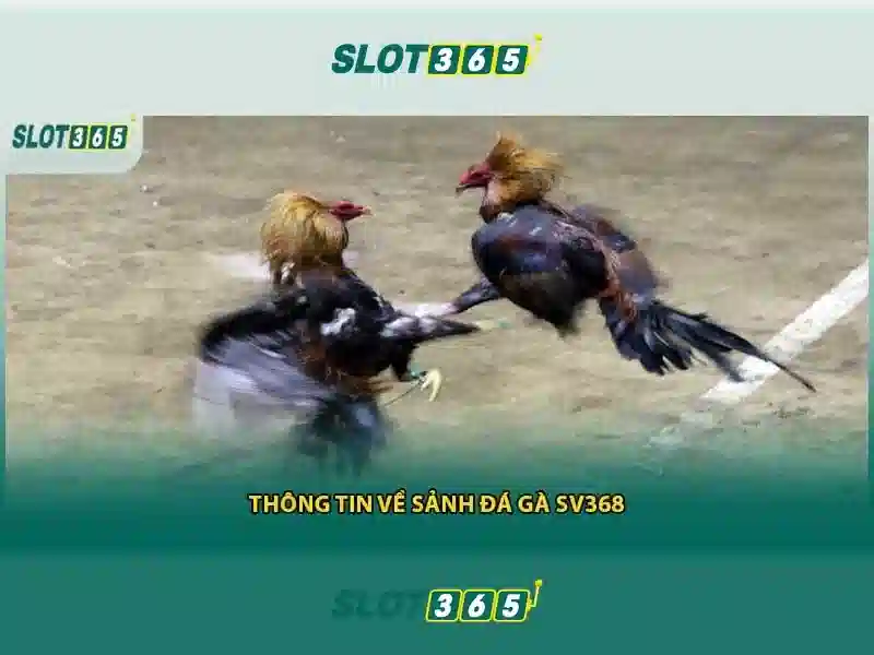 <!--IMG_PLACEHOLDER alt>Nguồn gốc và sứ mệnh của Link Slot365-->