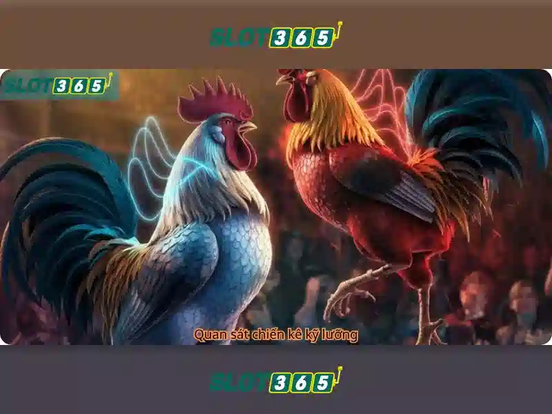 Slot365 là gì?