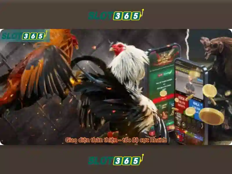 Lợi ích của Slot365