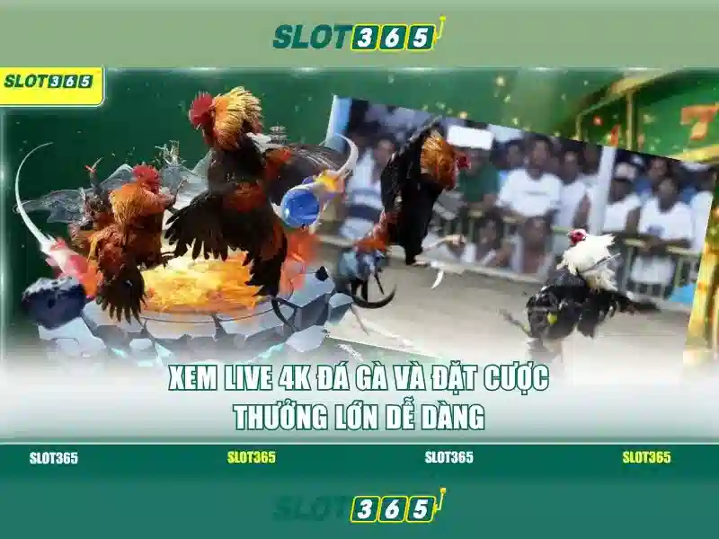 Cách truy cập và bảo mật