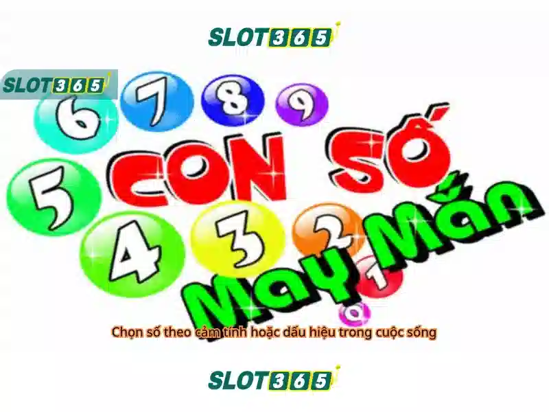 Tại sao người chơi ưa chuộng Slot365