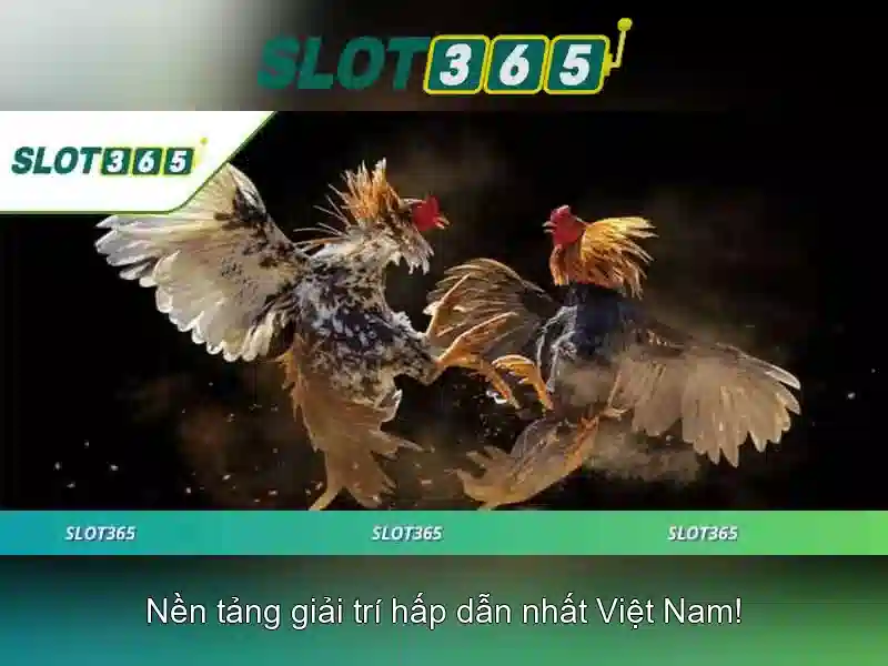 Slot365: Tổng quan về trò chơi xèng trực tuyến