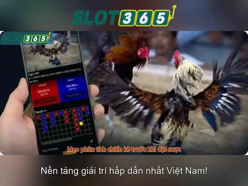 An toàn và bảo mật khi tham gia\n<h3><b>Tính năng và tiện ích</b></h3>\n<p><span style=