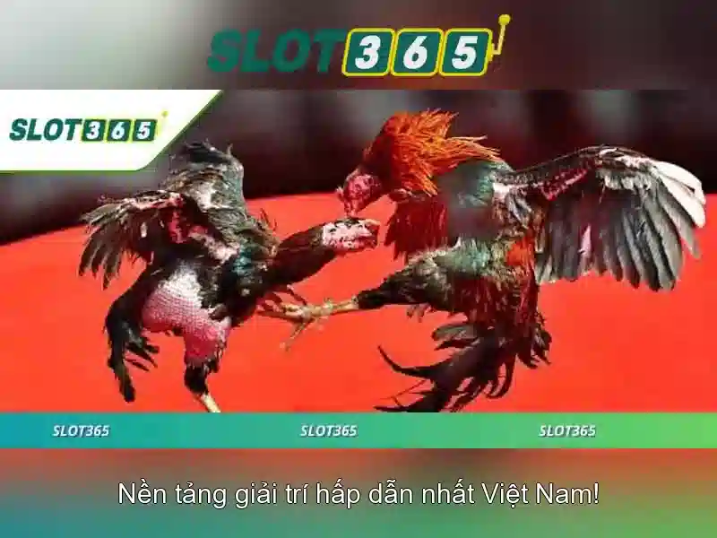 Trò chơi và tính năng nổi bật