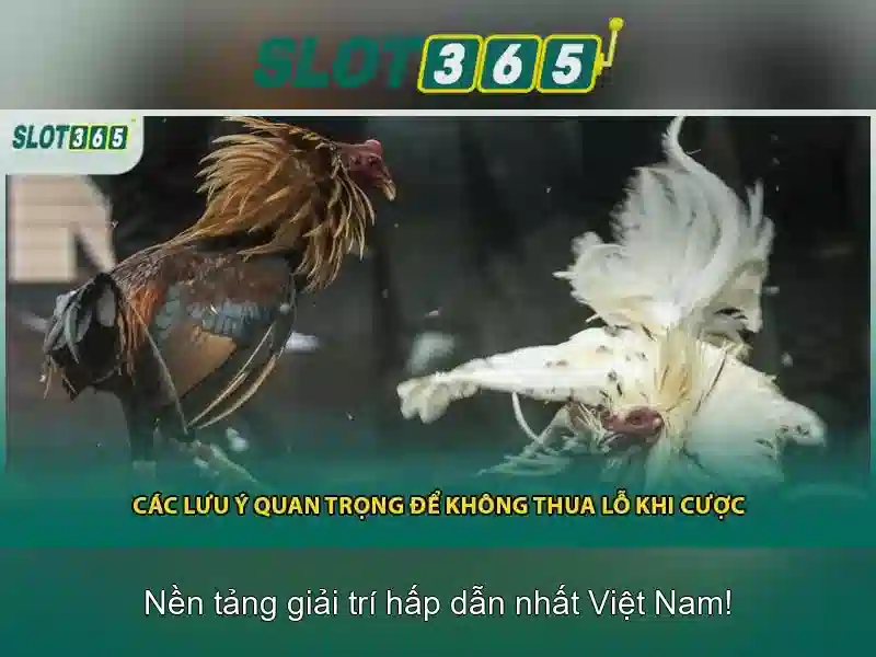 Slot365: Nền tảng trò chơi slot trực tuyến đáng tin cậy