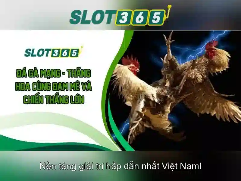 Kết luận