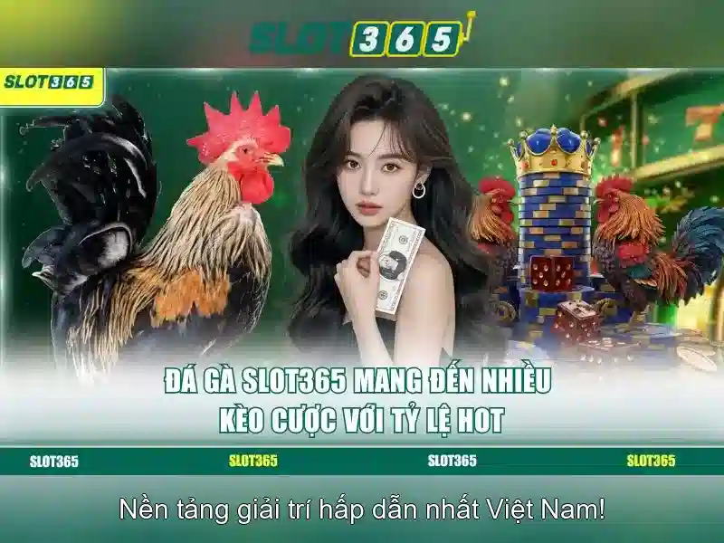 Slot365 - Tổng quan và đánh giá chi tiết