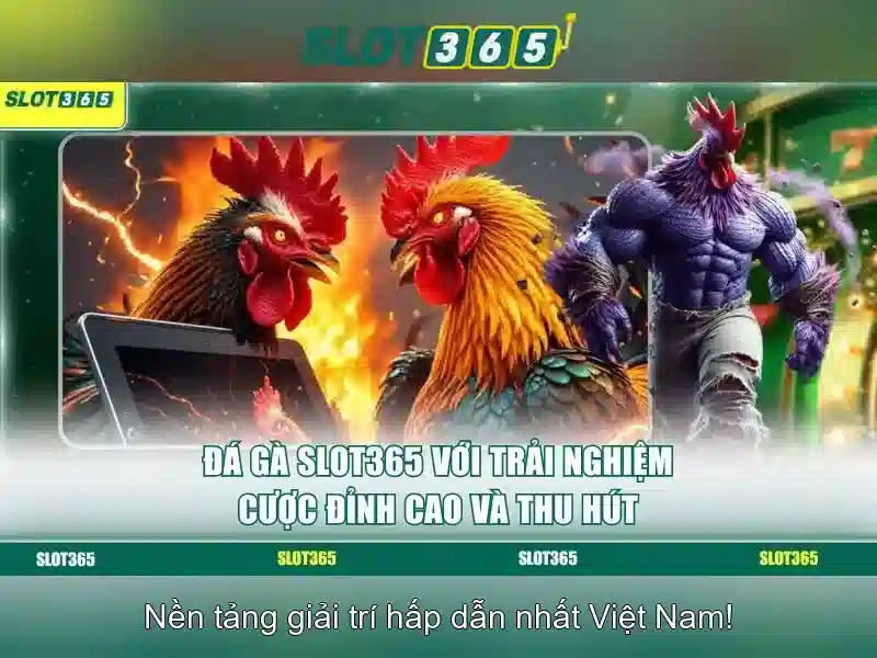 Kết luận