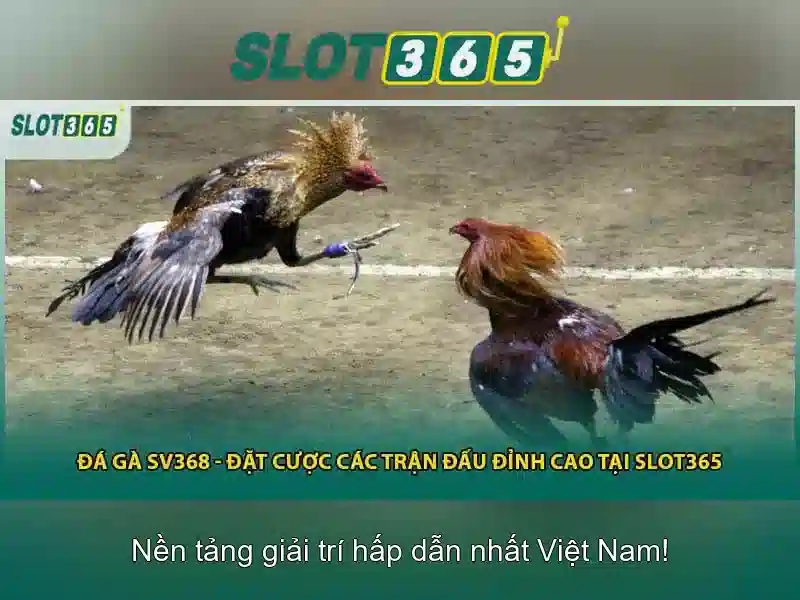 Slot365 - Nền tảng slot trực tuyến hàng đầu