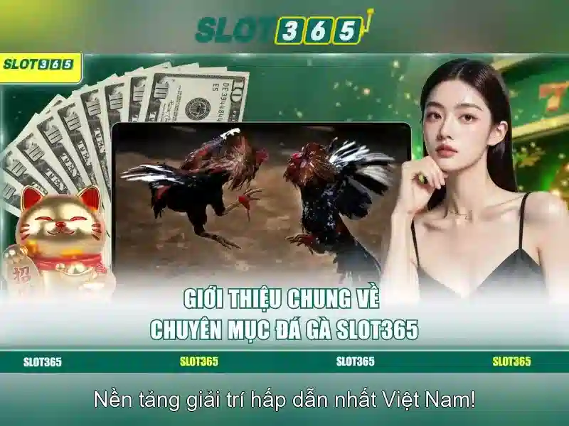 Giới thiệu Slot365