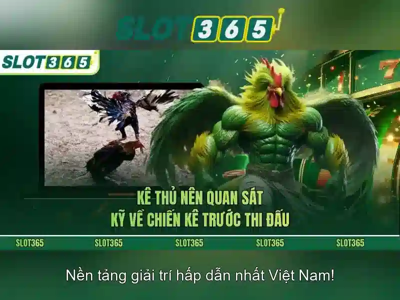 Slot365 là gì?