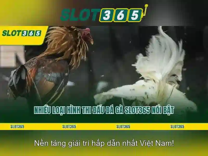Slot365 - Nền tảng chơi slot trực tuyến đáng tin cậy tại Việt Nam