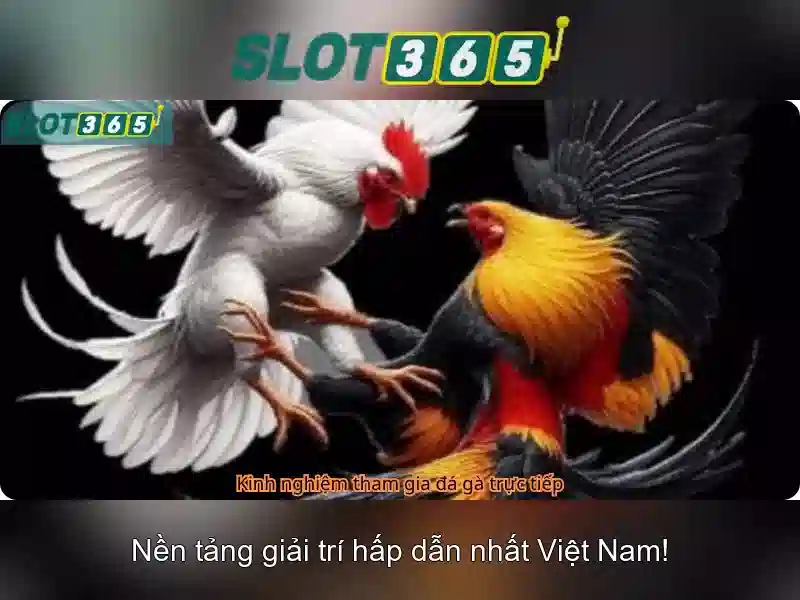 Slot365: Nền tảng casino trực tuyến đáng tin cậy và đầy cảm hứng