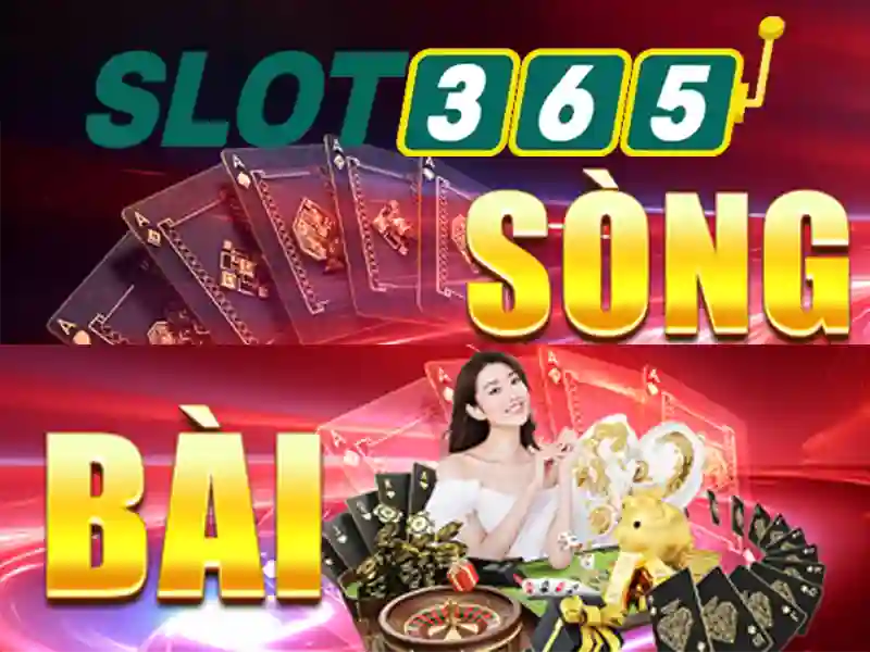 slot365 – Trải nghiệm người dùng và phản hồi cộng đồng