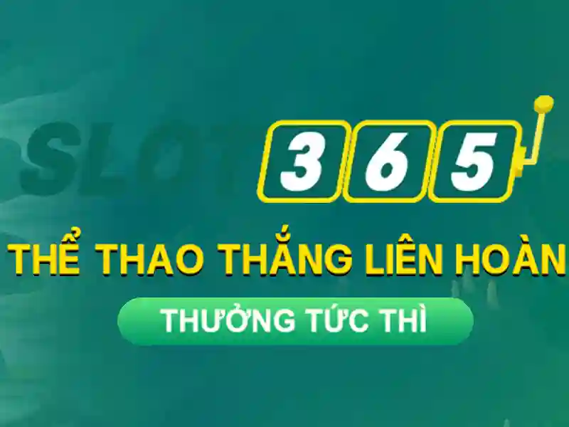 slot365 app và trải nghiệm di động