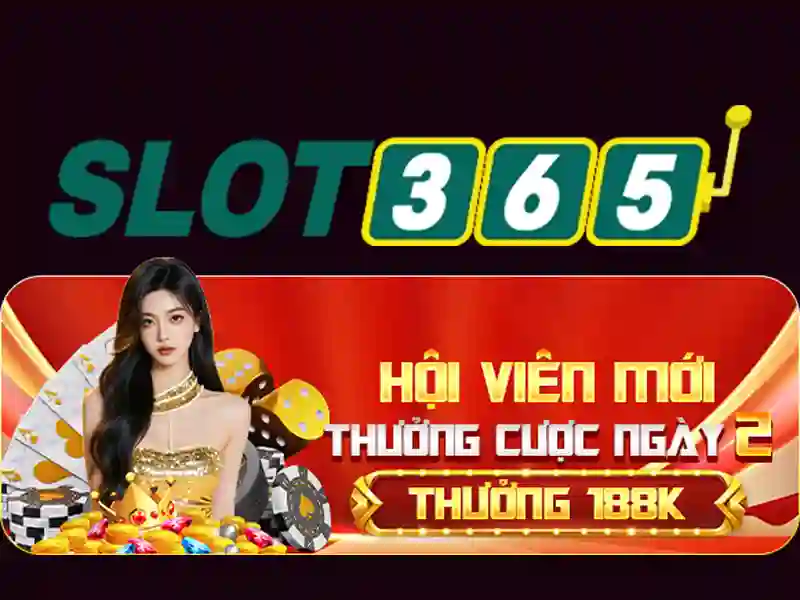 Trải nghiệm người dùng và phản hồi từ cộng đồng Slot365 free